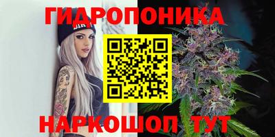 СК Бузулук