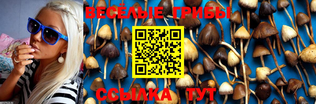 Галлюциногенные грибы Cubensis Полевской